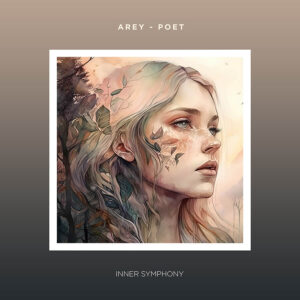 IS083 Arey Poet Deviu Solidmind
